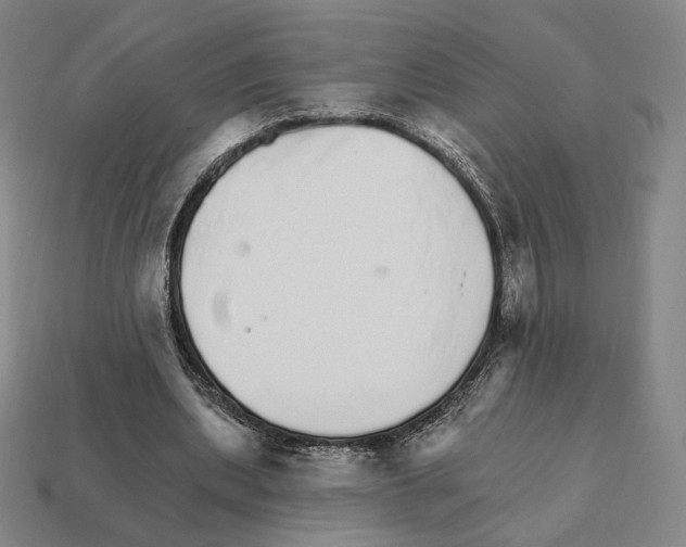 X0000111930439200909071242