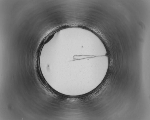 X0000111930440200909071242