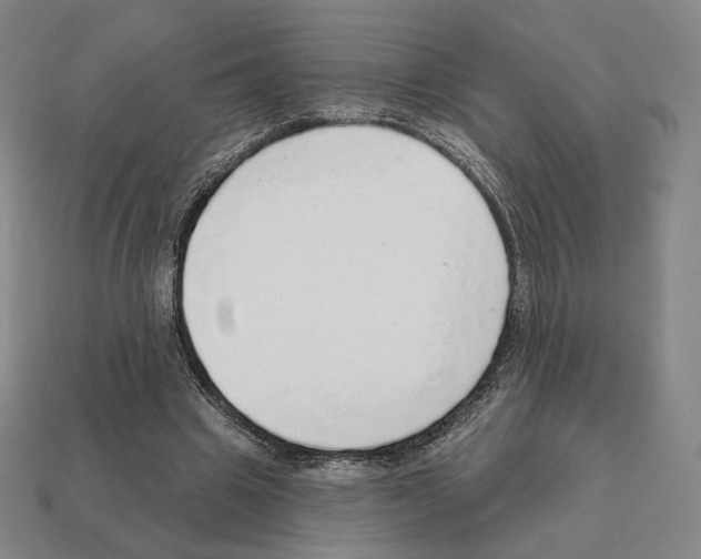 X0000111930441200909071242