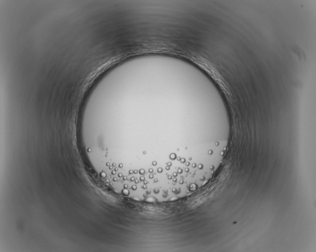 X0000111930442200909071242