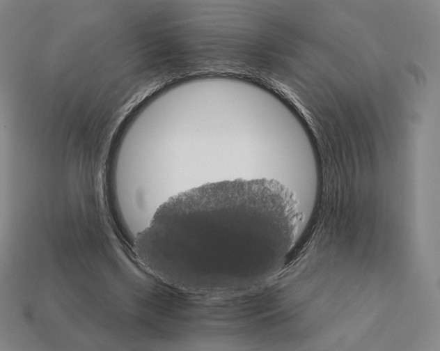 X0000111930443200909071242