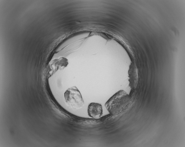 X0000111930445200909071242