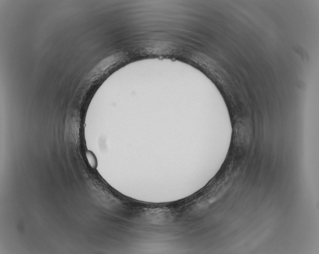 X0000111930446200909071242