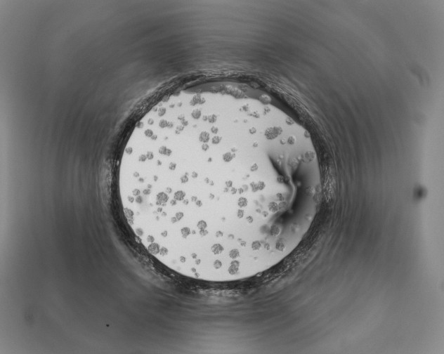 X0000111930448200909071242