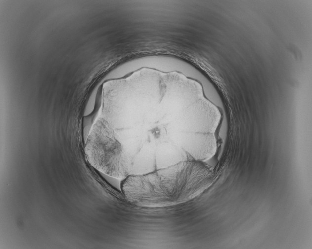 X0000111930449200909071242