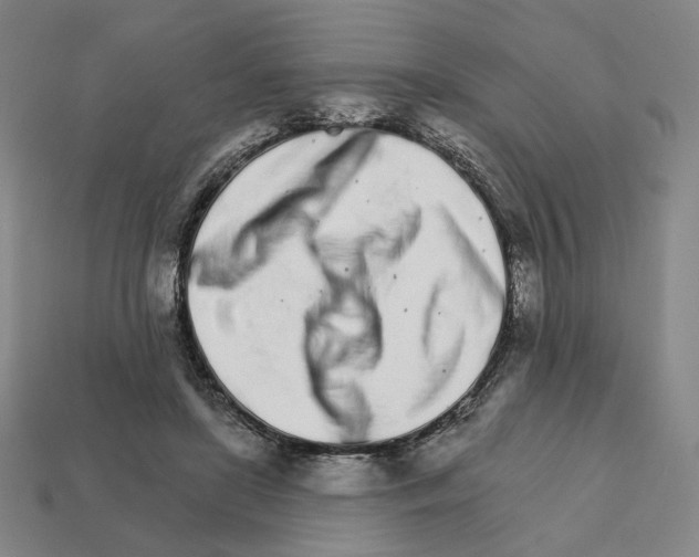 X0000111930451200909071242