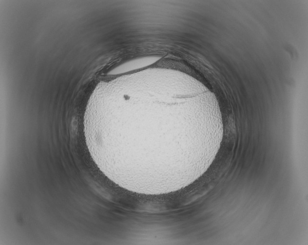 X0000111930452200909071242