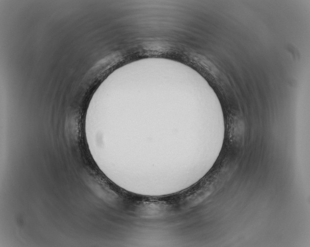 X0000111930455200909071242