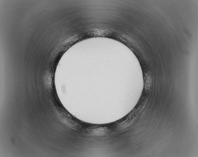 X0000111930456200909071242