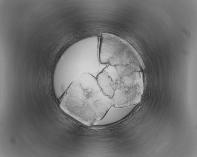 X0000111930457200909071242