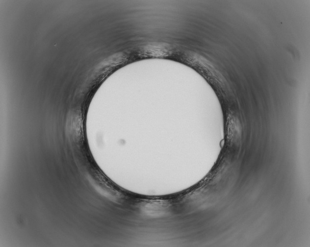 X0000111930459200909071242