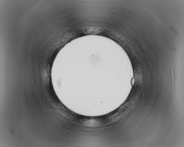 X0000111930460200909071242