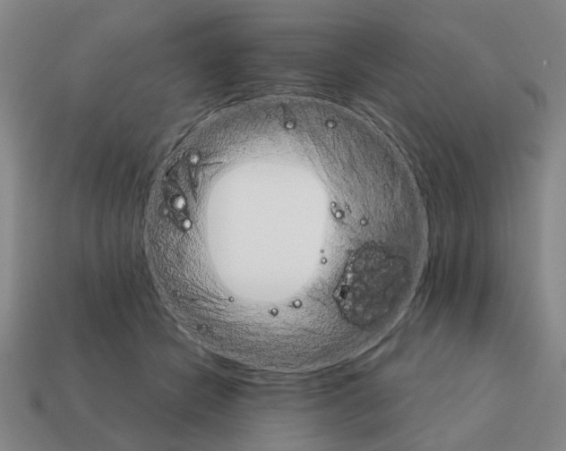 X0000111930462200909071242