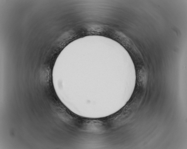 X0000111930463200909071242