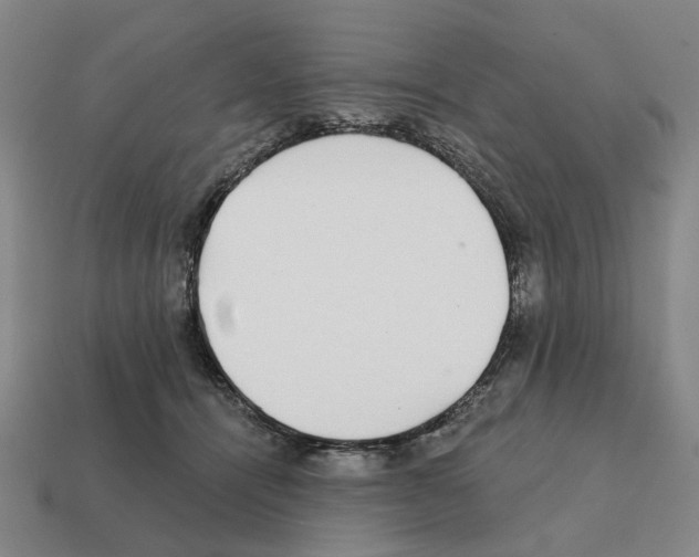 X0000111930464200909071242