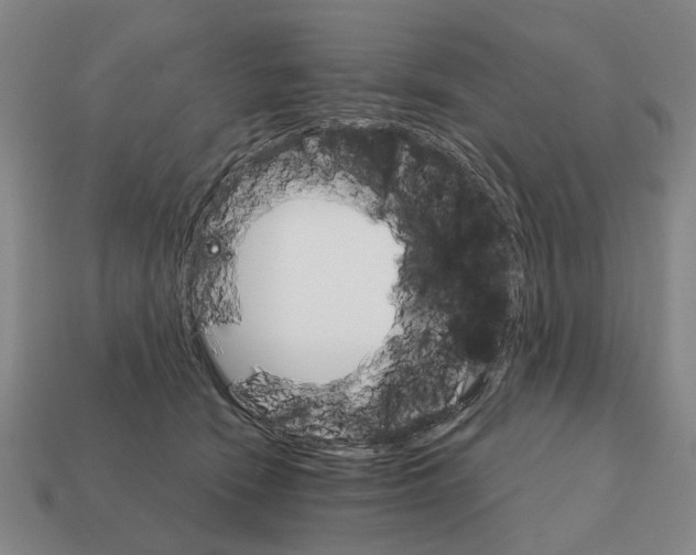 X0000111930466200909071242