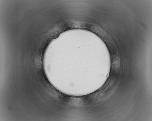 X0000111930469200909071242