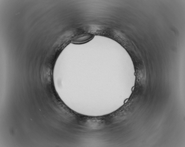 X0000111930470200909071242