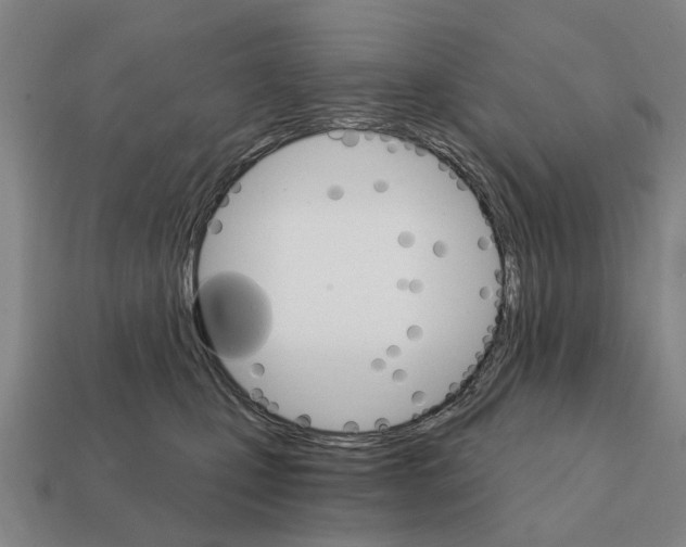 X0000111930471200909071242