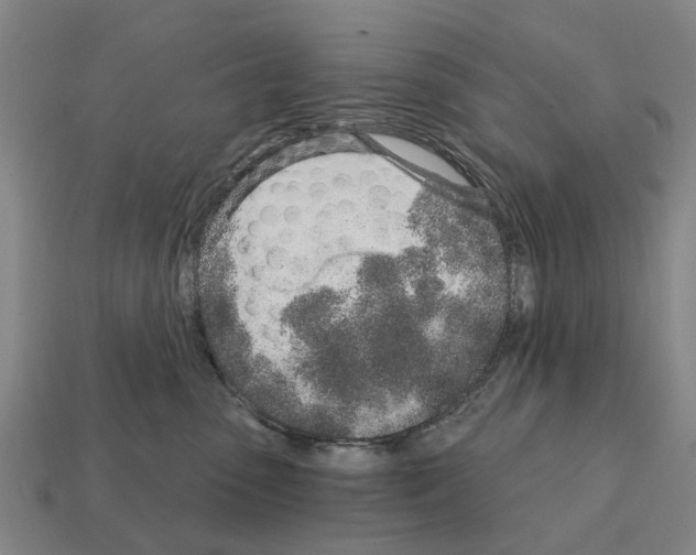 X0000111930475200909071242