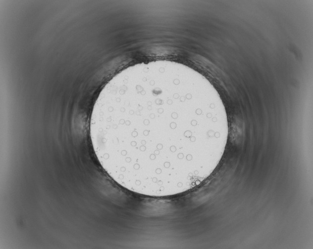 X0000111930476200909071242