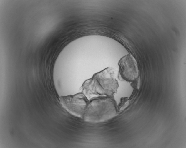 X0000111930477200909071242