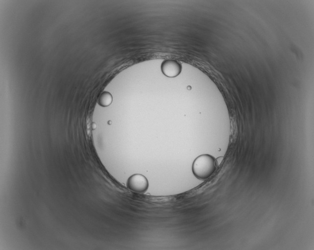 X0000111930479200909071242