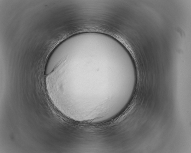 X0000111930481200909071241