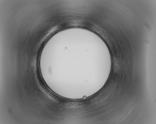 X0000111930482200909071241