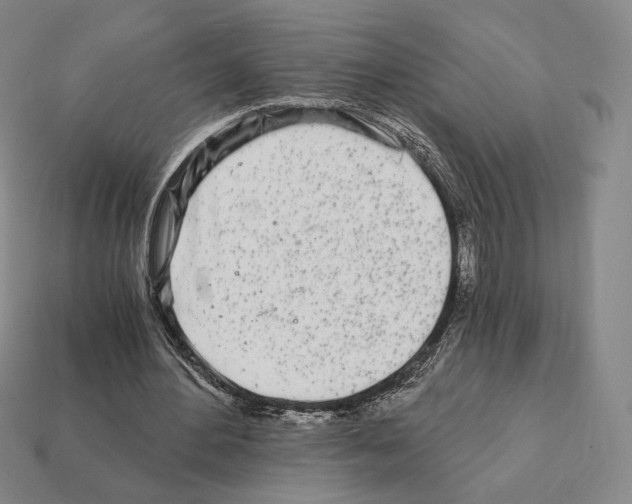 X0000111930484200909071241