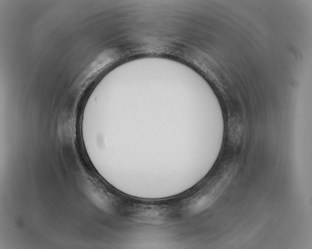 X0000111930486200909071241