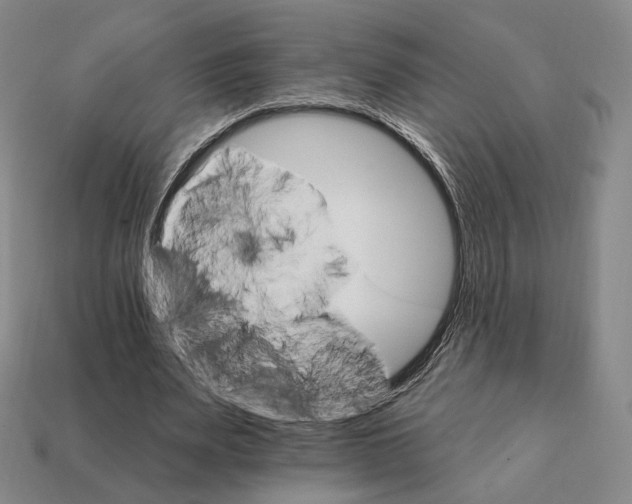 X0000111930487200909071241