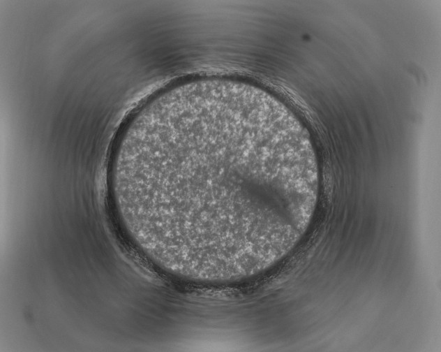 X0000111930488200909071241