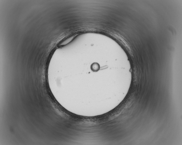 X0000111930489200909071241