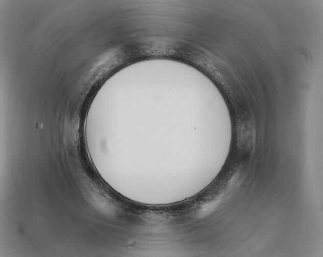 X0000111930490200909071241