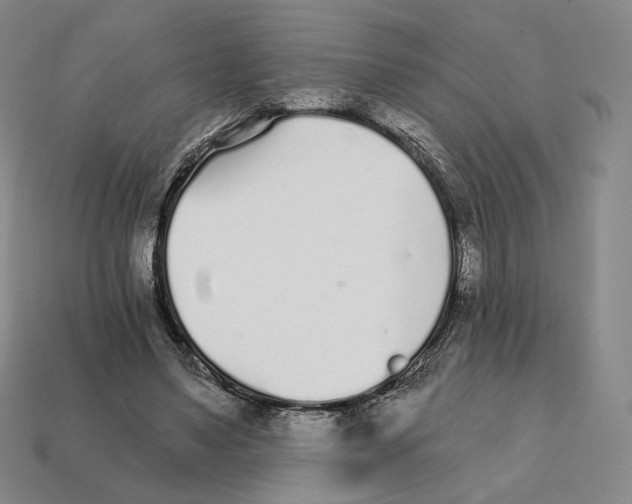 X0000111930491200909071241