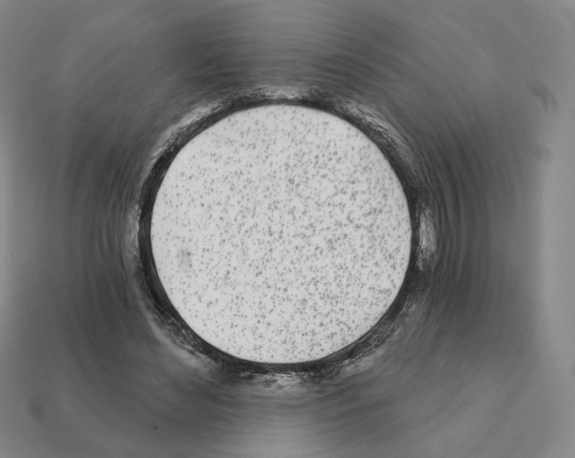 X0000111930492200909071241