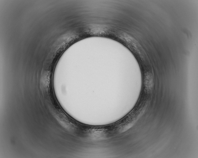 X0000111930495200909071241