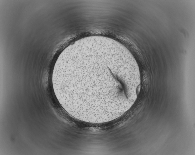 X0000111930496200909071241