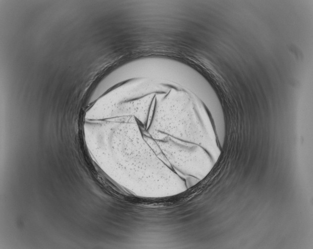 X0000111930500200909071241