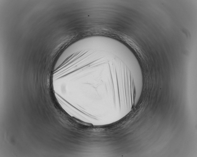 X0000111930501200909071241