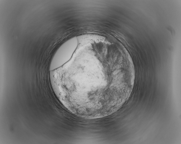 X0000111930503200909071241