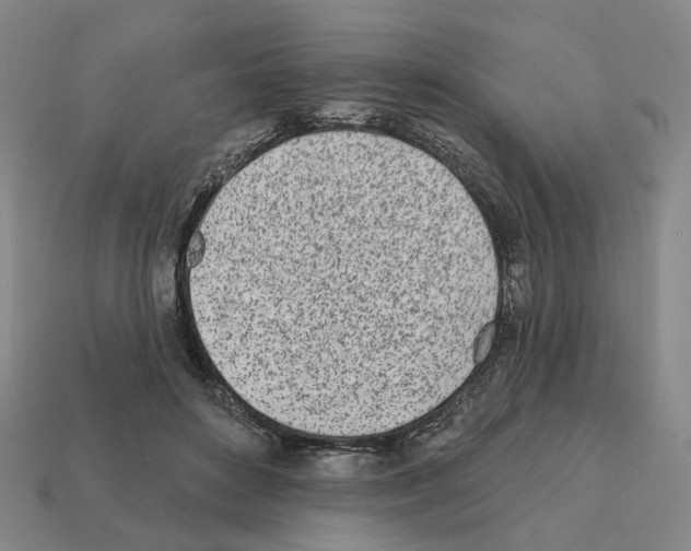 X0000111930504200909071241