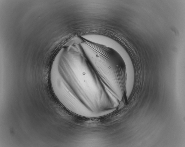 X0000111930505200909071241