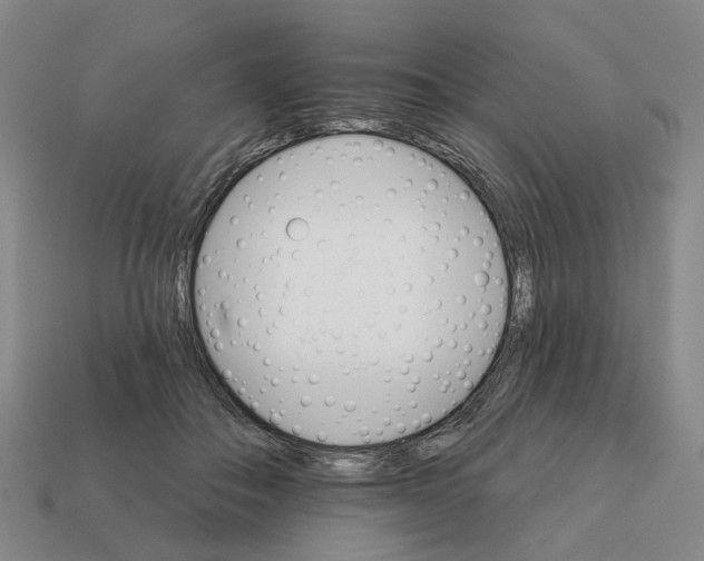 X0000111930506200909071241