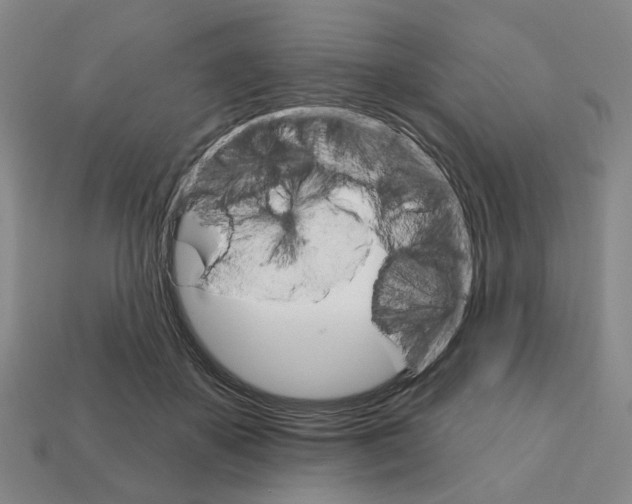 X0000111930507200909071241