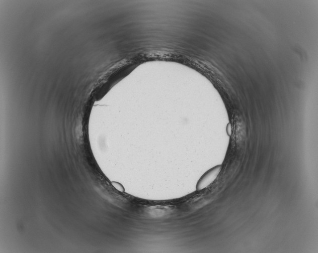 X0000111930508200909071241