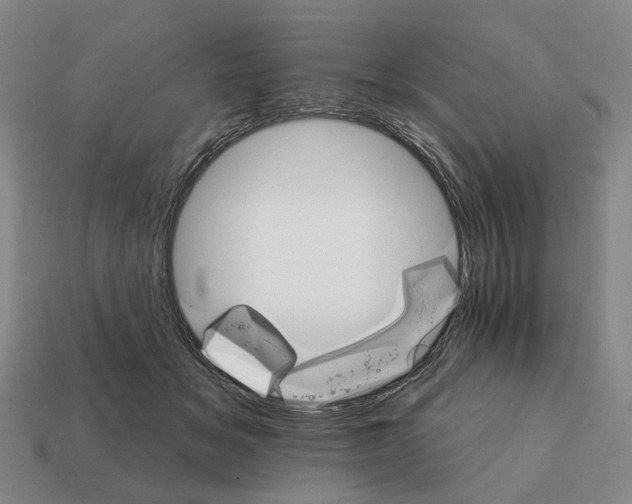 X0000111930509200909071241