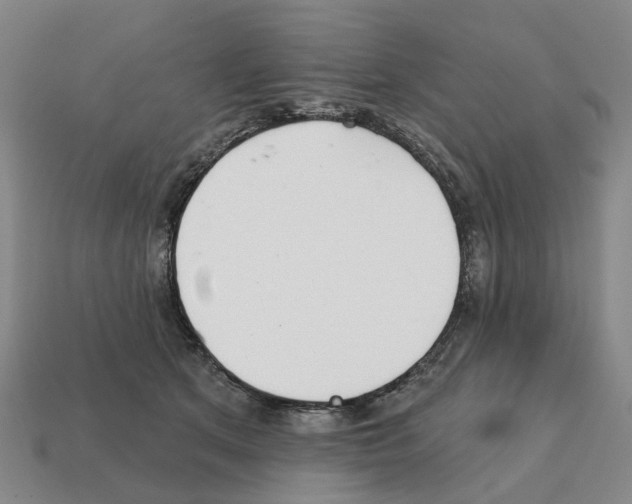 X0000111930513200909071241