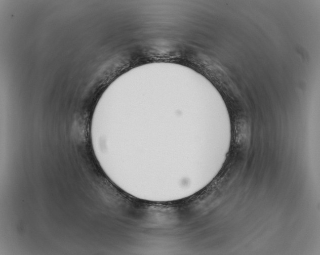 X0000111930515200909071241